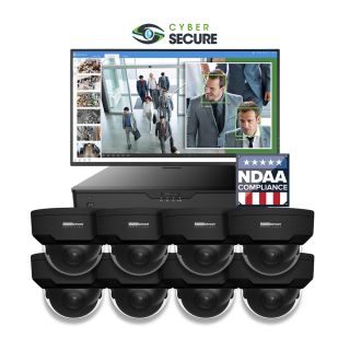 8 Camera Black Dome Security Camera System