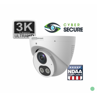 Active Deterrence Dome Camera