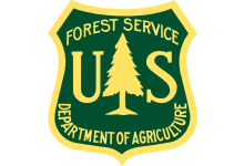 US forest